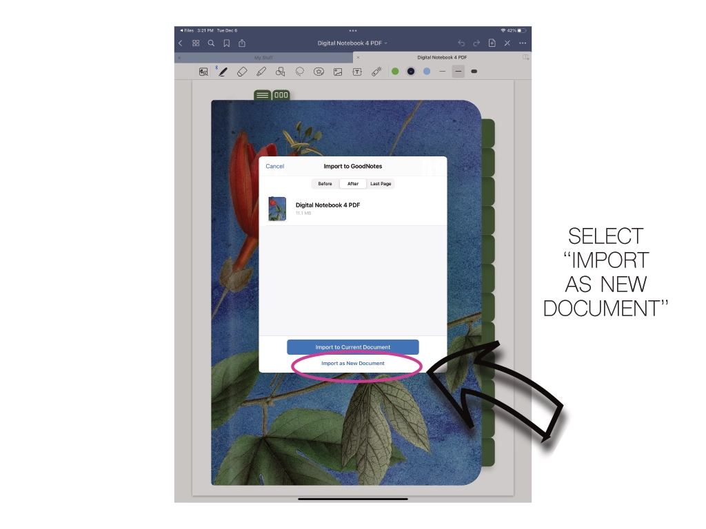 goodnotes notebook showing how to import as a new document