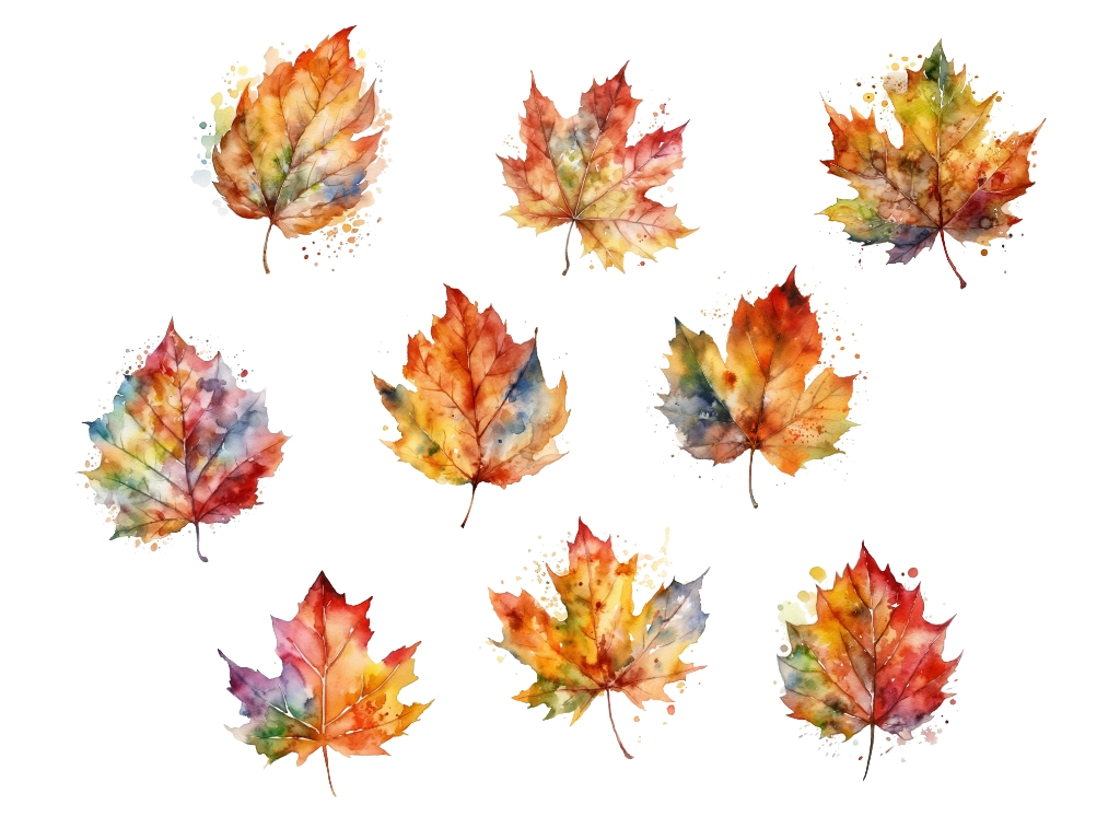 9 images of watercolor fall leaves clipart