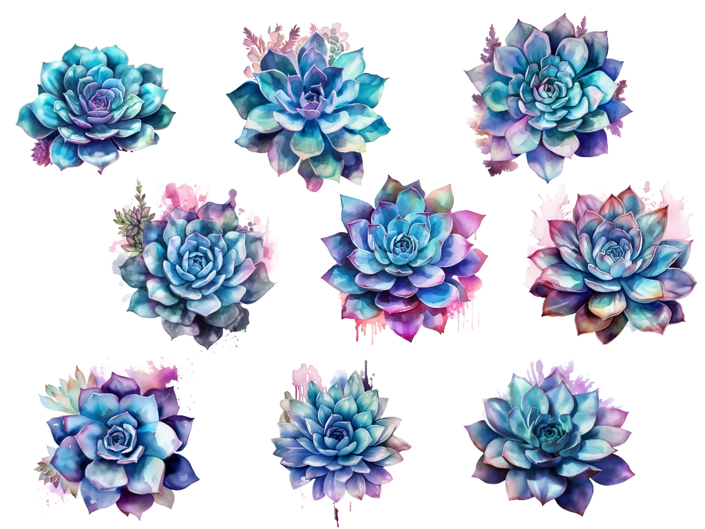 succulent clipart with 9 watercolor succulent plants