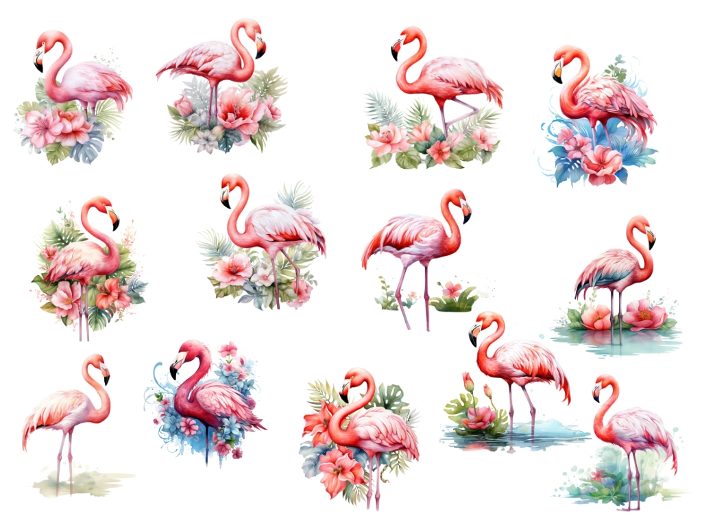 13 various watercolor flamingo clipart images