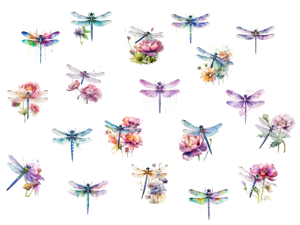 19 different dragonfly clipart images in watercolor